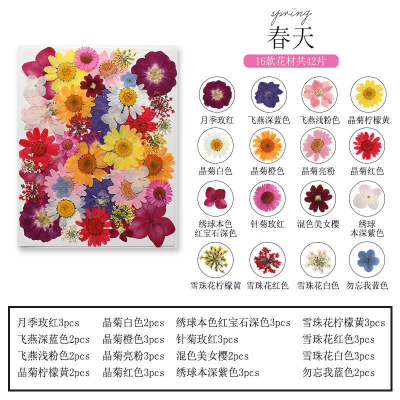 Set Bunga dan Daun Alami untuk - Dried Flower Bookmark ulasan dan harga